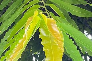 Photograph 4779