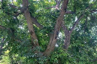 Photograph 4782