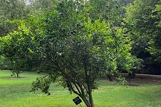 Photograph 4783