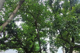 Photograph 4788