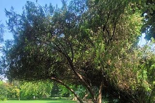 Photograph 4791