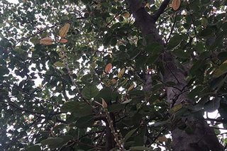 Photograph 4793