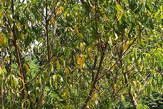 Photograph 4795