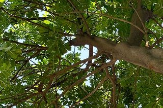 Photograph 4798