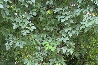 Photograph 4802
