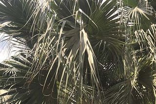 Photograph 4803