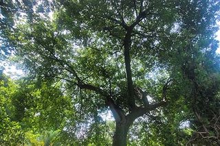 Photograph 4804