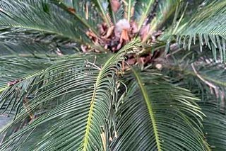 Photograph 4812