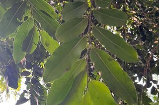 Photograph 4815