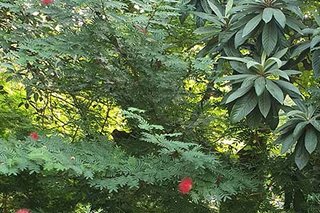 Photograph 4819