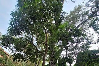 Photograph 4822