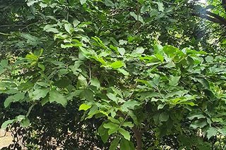 Photograph 4824