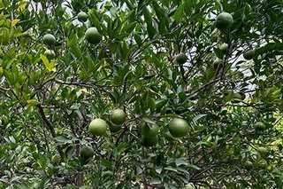 Photograph 4826