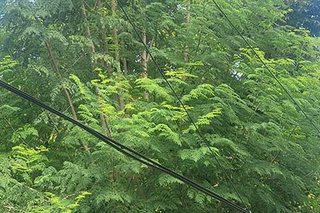Photograph 4828