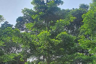 Photograph 4829