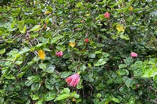 Photograph 4830