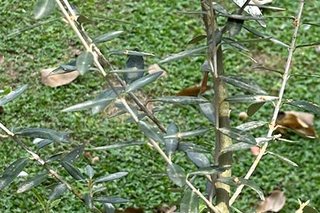 Photograph 4831