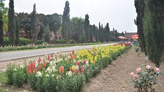 Photograph 49803