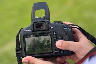 Photograph 5441