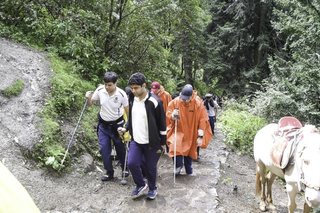 Photograph 5569
