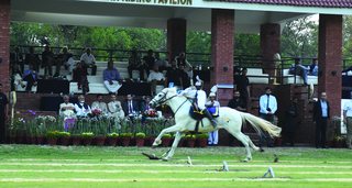 Photograph 5837