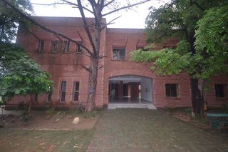 Photograph 6196