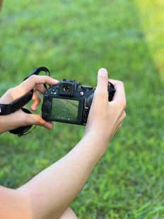 Photograph 7397
