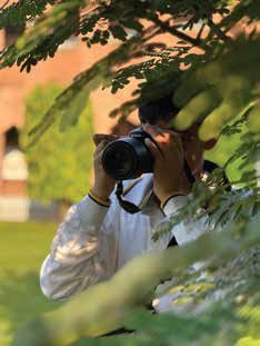 Photograph 7399