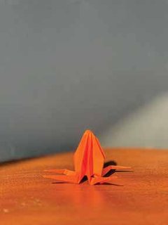 Photograph 7442